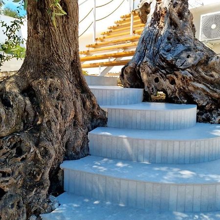 Le Fronde Vieste Dış mekan fotoğraf