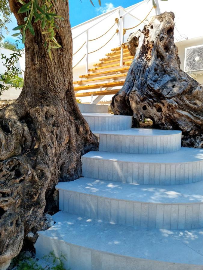 Le Fronde Vieste Dış mekan fotoğraf