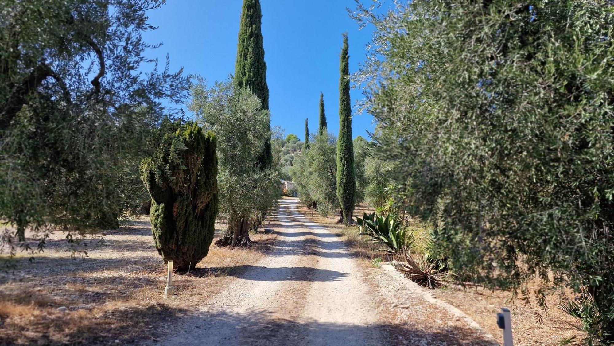 Le Fronde Vieste Dış mekan fotoğraf