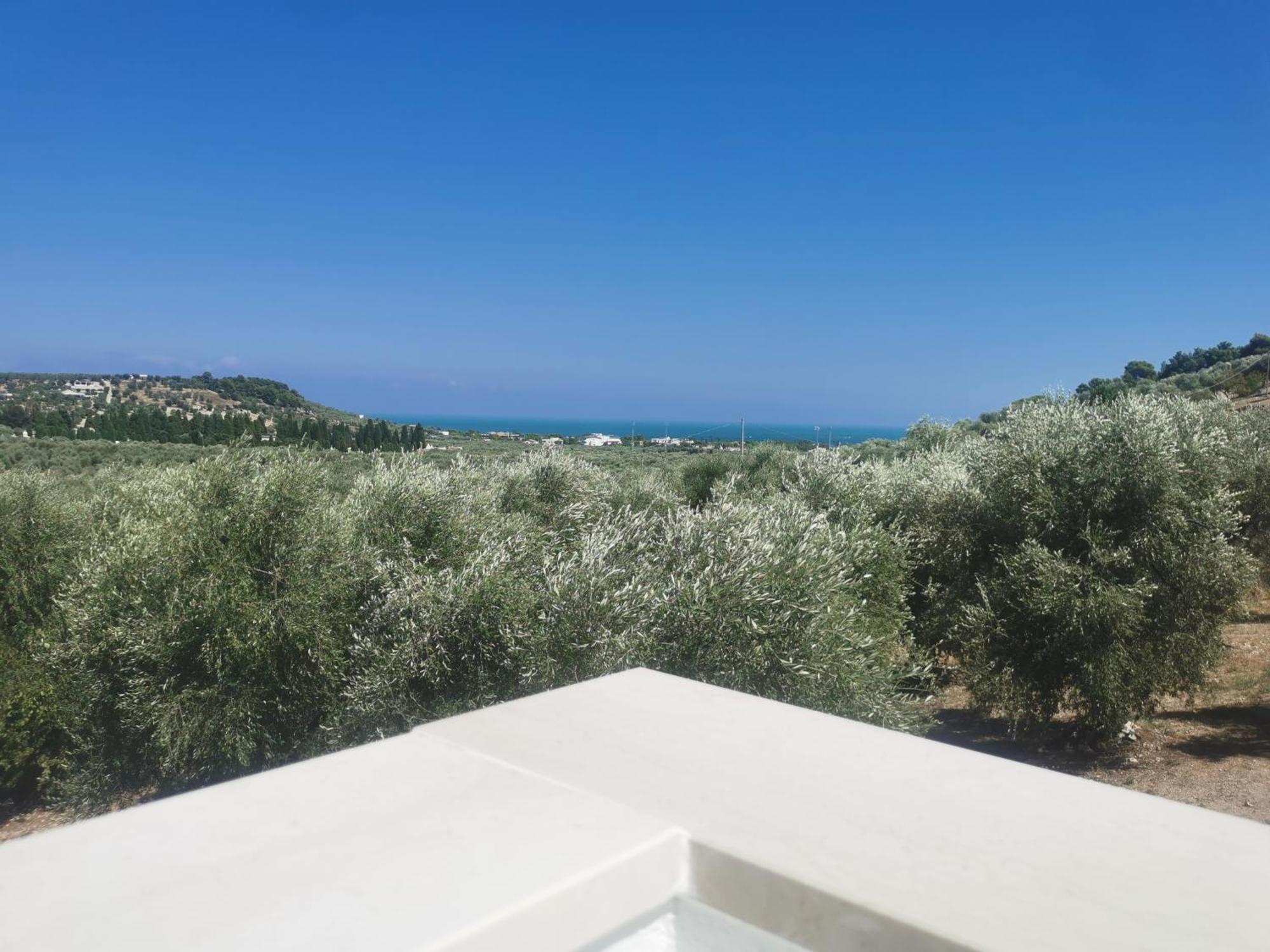 Le Fronde Vieste Dış mekan fotoğraf